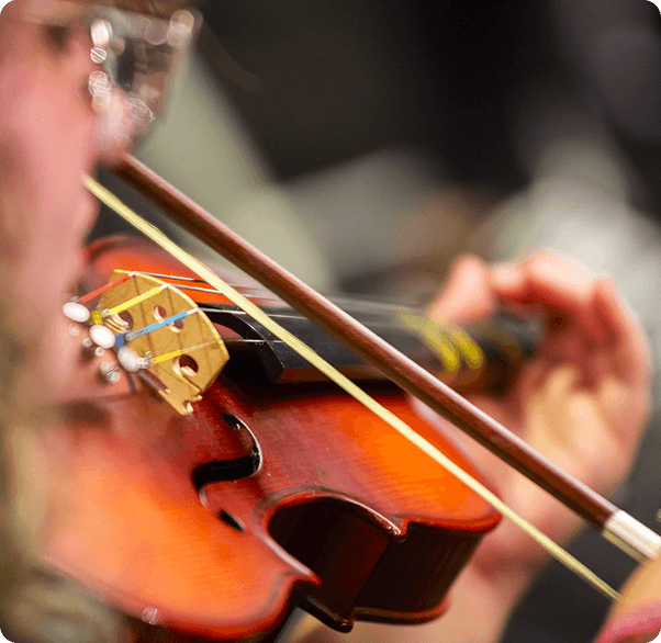 Santa Marcelina Cultura